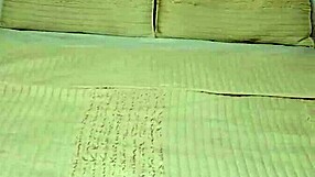 Two studs bareback pound brazilian milf's fat pussy