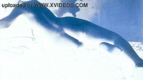 i cherish vintage erotic drawings