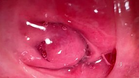 whoa, amateur pink pussy looks so fresh 172 days after popping her cherry 😏💦