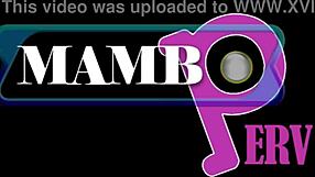 damn slim brazilian ebony takes big cock anal 1on1 😈 no pussy round 1 ob570