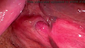 whoa, amateur pink pussy looks so fresh 172 days after popping her cherry 😏💦