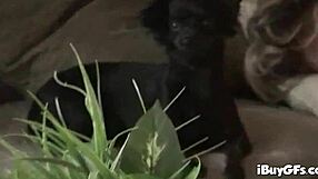 tyla wynn fingers her shaved pussy in shower before horny banging session