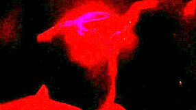 swing cabin unknown fun part 2 renatinha mello's big brazilian tits tease brown eyes