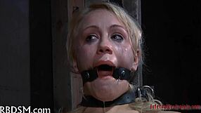 i explore sadomasochism's intense intimate dynamics