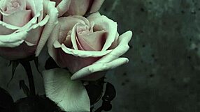 mcr - i dont love you sub español hits different in goth vibes