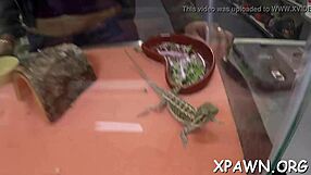 exhibitionist amateur babe sucks cock hard then bends over for wet pussy doggystyle pounding