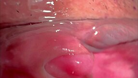 Wanna peek at pink pussy 227 days post virginity?