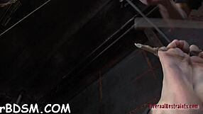 Tied Beauty's Fuck Holes Filled Rough in Bondage