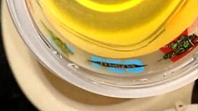 oh baby i'm squatting over toilet filling bottle with my warm pee for you