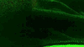 black goddess soooo horny craving thick cock deep inside