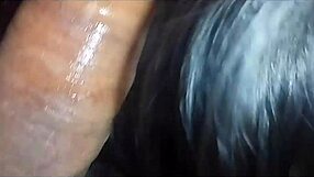 amateur latina brunette mature daddy pov homemade anal assfucking big monster cock blowjob