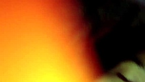 Stunning babe sucks cock masterfully to multiple cumshots