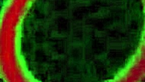 i luv big butts dildo fun with lesbians angelina castro