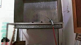 skinny dude jerks monster cock behind shop counter?