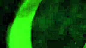 straight guy slams candy's ass bareback in trailer