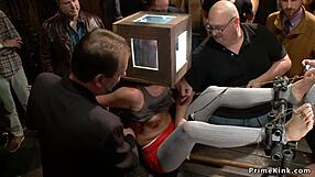 redhead and blonde bound subs get publicly assfucked and dominated outdoors