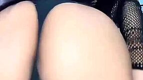 i'm petite bossbitch dallas escort for tryst