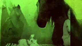 dark lantern uncovers hairy retro pussies and natural tits!