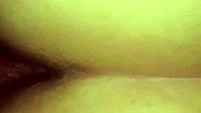 bbw wife bent over for deep doggy pounding pov