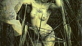 Dark Lantern Two Centuries Vintage Lesbian Beaver