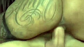 o novinho really grabbed that sexy brazilian chick bareback, right?