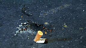 i watch cassie young smoke while deepthroating monster cock on bed