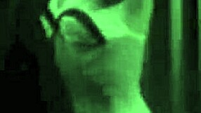 A Night in a Moorish Harem by Lord George Herbert