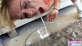 hot blondes allie james elizabeth bentley slurp that huge dick