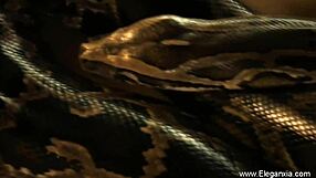 My Sultry Indian Ex-Girlfriend Teases in Lingerie Solo