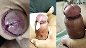 small foreskin cock spurts loads while nerd gf masturbates her tight pussy and small tits