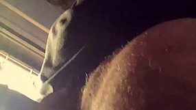 daddy shower slave begs for penes lluvia bad wolf28