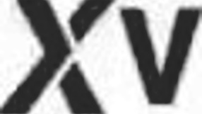 Lunita galactica endures pissing double penetration anal destruction dp