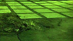 Stranded Amateur Teen 18+ Bent Over and Roughfucked Outside!