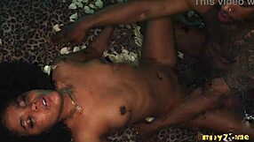 brazilian selva spreads hairy pussy and tight ass for hard anal