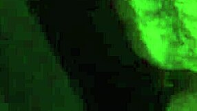 yo ts shemale takes sloppy blowjob from hooded black dude on top