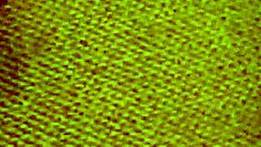 Tiny Trisha Teases Before Hard Petite Fuck