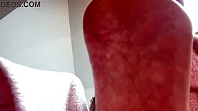 smell my feet before bed, foot slave...