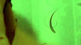 i twirl my thick chocolate pierced cock teasing till clothes rip