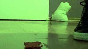 ever seen a giantess stomp a tiny clayman flat?