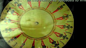 vintage erotic scenes showcase hairy beavers up close