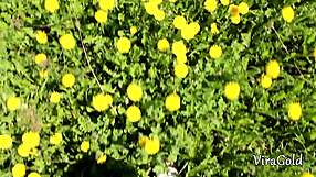 casual outdoor teen blowjob ends with stranger cum flooding small tits mouth 💦😏