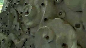 Ever seen Chiang Rai's crazy Big Buddha statue temple?