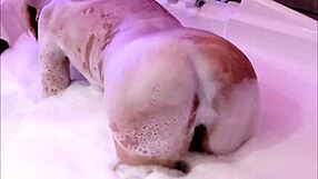 Wanna see my curvy milf wife flash big tits pussy and moan in lingerie photos?