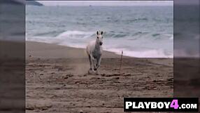 Qiana chase, wanna see my curly ebony milf tits pussy stripped naked in photoshoot??