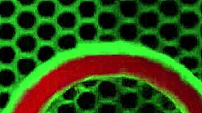 petite brunette ava valentina selina moon rides rome major's big cock threesome