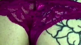 Neon Flamingo Season 5 Full Episode Collection