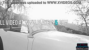 Mixed Petite Asian Babe Alexandra Strips Lingerie In Softcore Tease