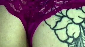 Neon Flamingo Season 5 Full Episode Collection