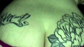 Neon Flamingo Season 5 Full Episode Collection