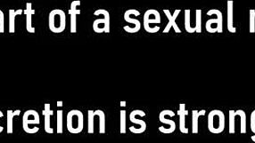 Bratty Orphans Cheerleading Physical Crushes Petite Mya Hard!